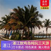 湛江放雞島純玩3天(獨家包島：篝火晚會、卡拉OK狂歡、豪住一晚島上酒店，“東方夏威夷”南海旅游島中國第一灘)